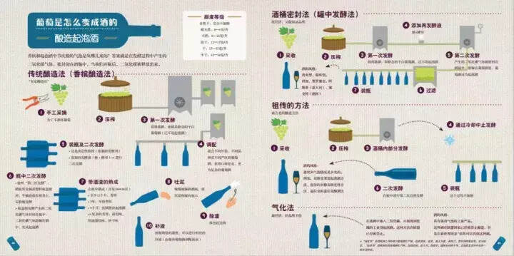 图解｜葡萄酒到底是怎么酿造出来的？
