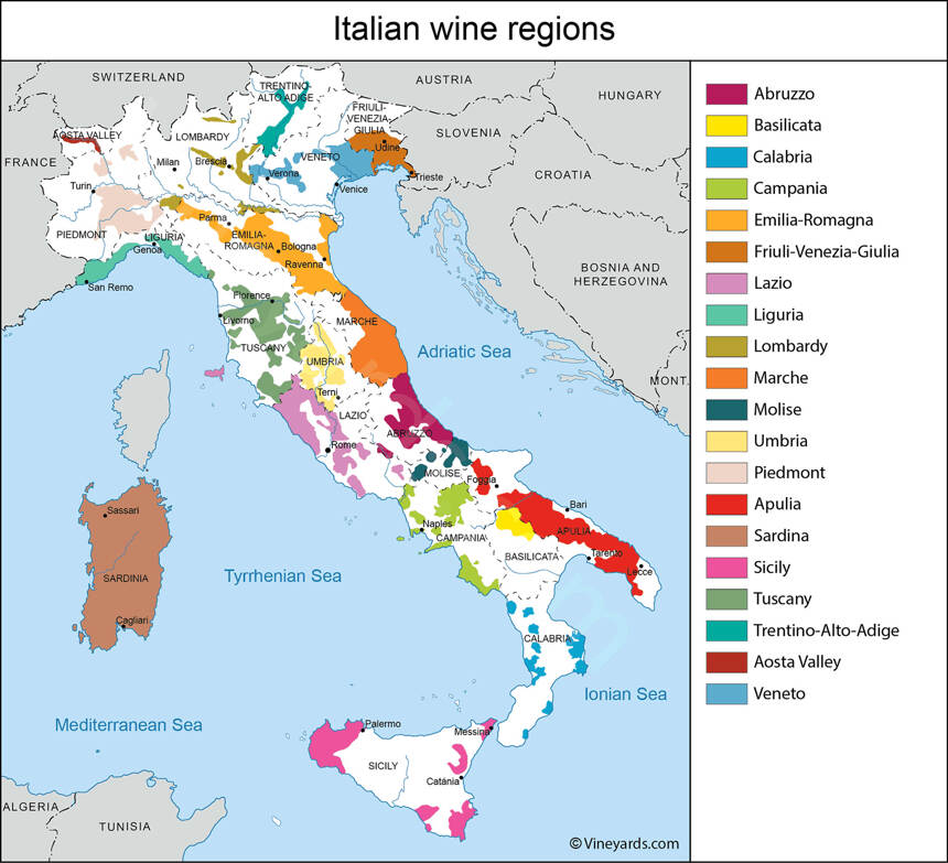 擒贼先擒王，学酒先学葡萄品种，来盘点意大利的20个常见品种