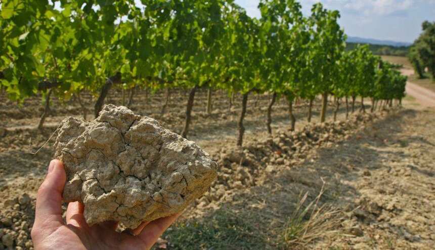 土壤是如何影响葡萄酒口感的，你知道吗？