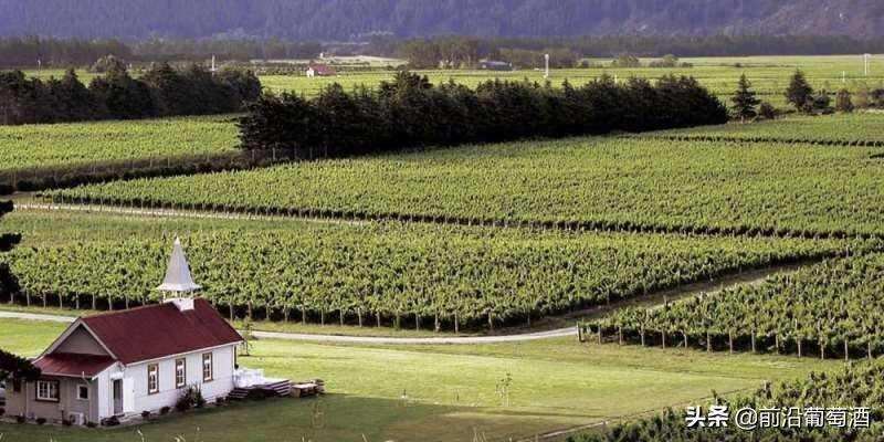 卢瓦尔河流域上普瓦图和贾斯尼耶产区的葡萄酒简介