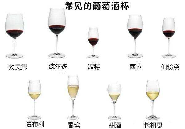 葡萄酒爱好者必备的 10 件 “神器”，专业范，猴赛雷！