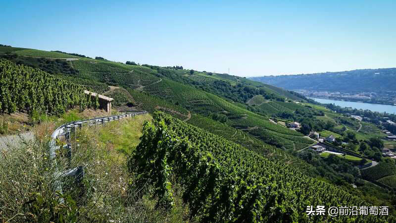法国罗讷河流域的克里叶堡和迪城-克雷耶特产区的葡萄酒简介