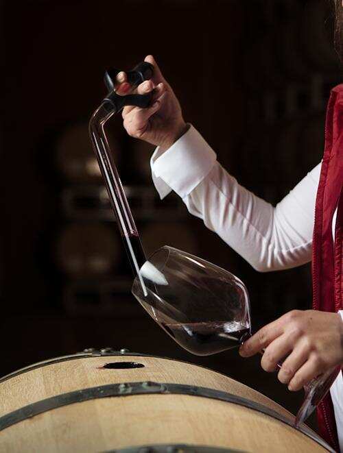 关于葡萄酒酿造中的人工干预，你知道多少？