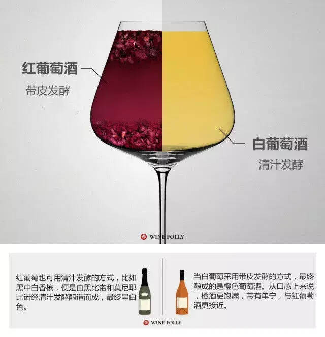 技能｜三张图带你看懂红&白葡萄酒的区别
