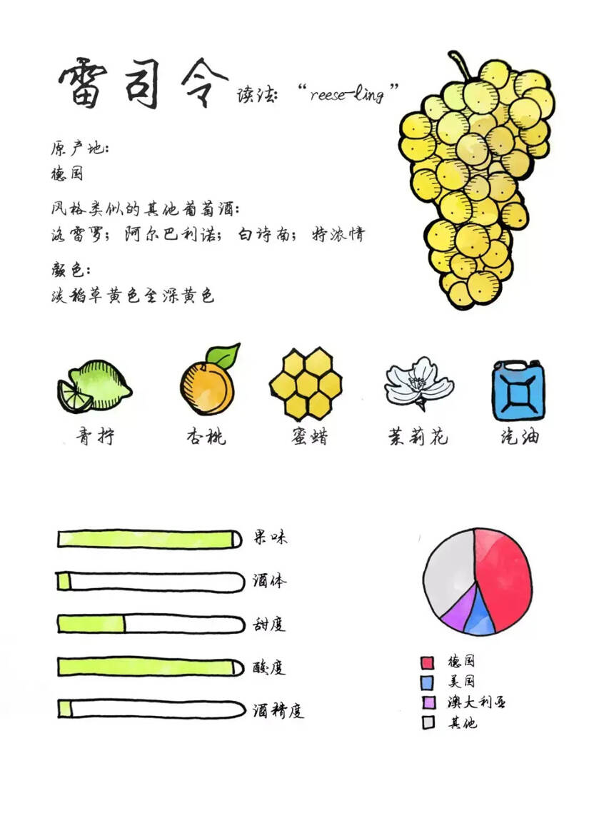 图解20大常见葡萄品种的特点，绝对要收藏！