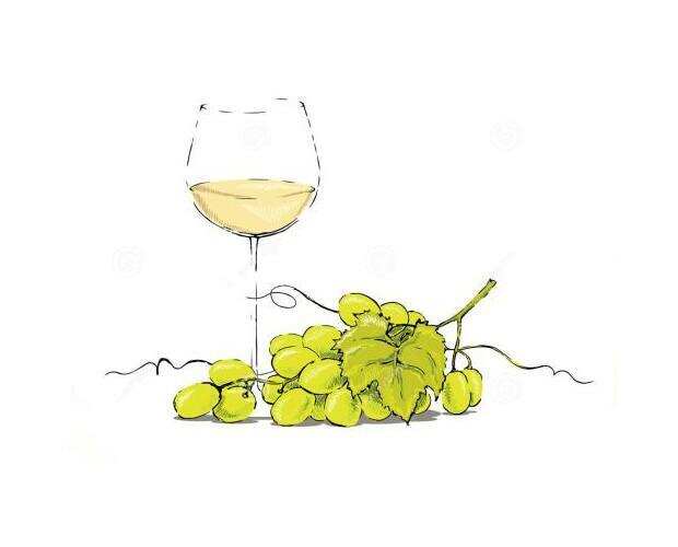 实用丨解锁5种常见的白葡萄品种
