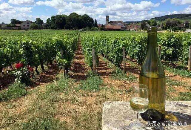 勃艮第葡萄酒品质至上的优良传统，勃艮第葡萄酒发展史