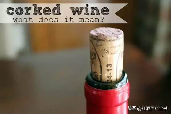 什么是木塞污染？受到侵染的葡萄酒还能喝吗？