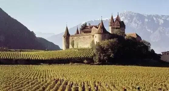朱卫东：法国葡萄酒法律的前世与今生