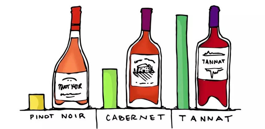10个关于葡萄酒，你应该知道的那点事儿