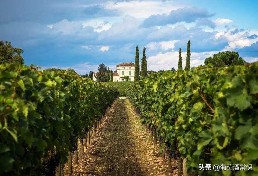 法国波尔多著名的波亚克(PAUILLAC)产区的葡萄酒简介