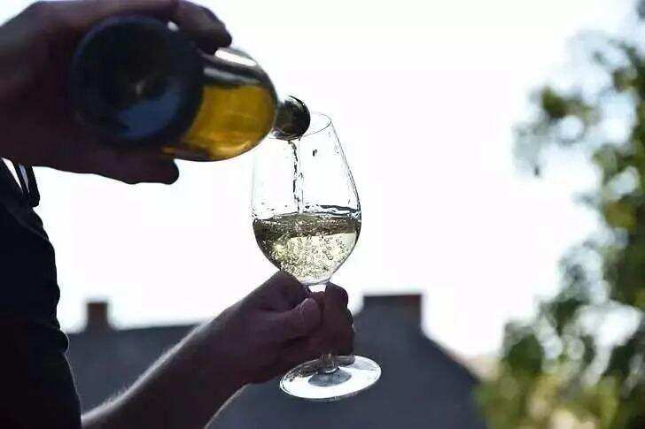 WINE NEWS丨见证历史！自然葡萄酒终于在法国得到正名……