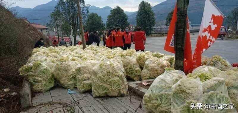 仁怀五马镇30吨新鲜蔬菜驰援武汉