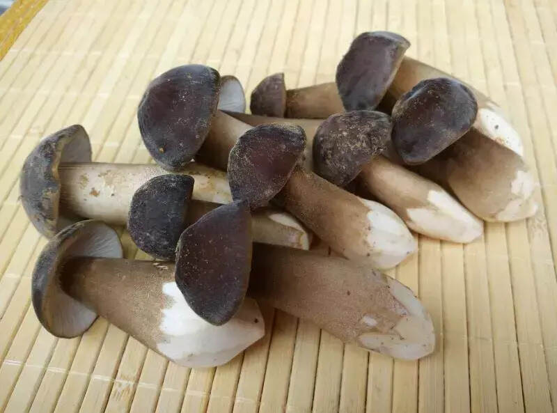 「当季美味」聪明的吃货，是不会放过这些菌菇的！
