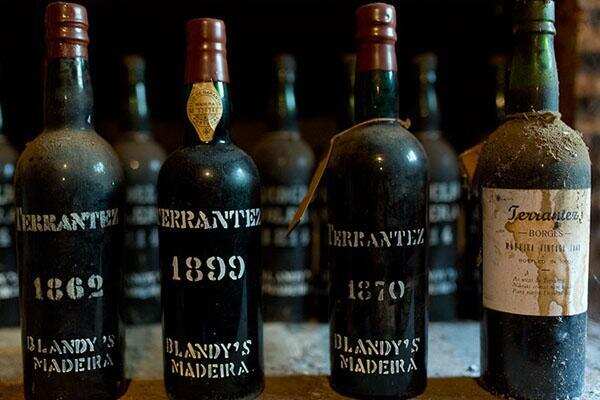 盘点马德拉最重要的 9 大酿酒葡萄，罕见！