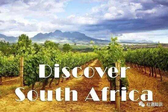 今天这篇南非葡萄酒的“扫盲帖”，供对此感兴趣的入门级爱好者阅读
