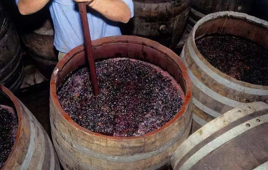 葡萄酒是如何生产出来的？