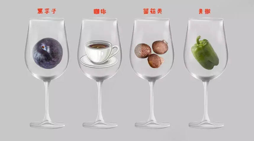 葡萄品种——赤霞珠的简历
