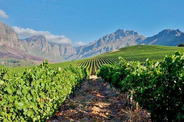葡萄酒进阶知识：来说说南非的葡萄产区