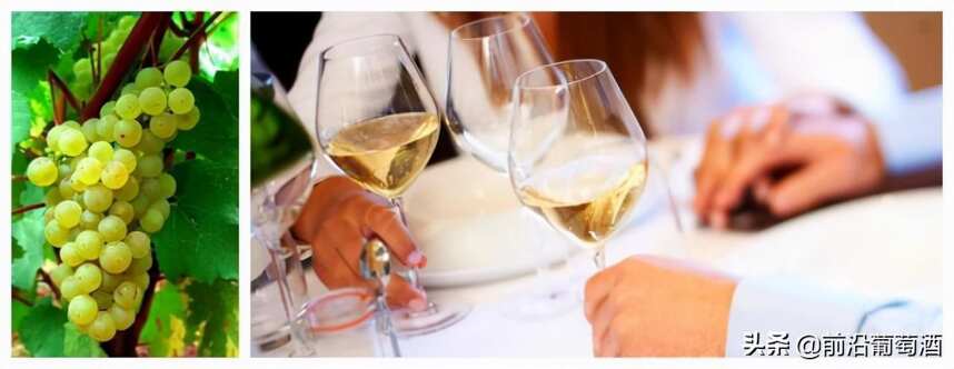 法国葡萄酒品鉴术语表，法国专业葡萄酒品鉴术语大全