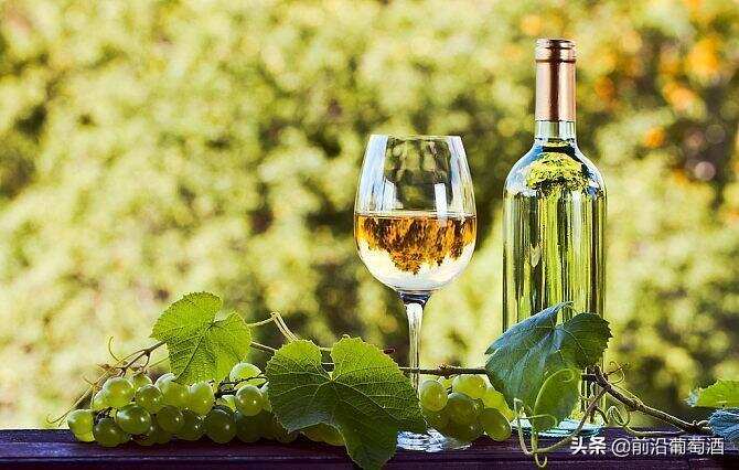 维奥娜葡萄酒，科普最常见的100种葡萄酒佳酿之一维奥娜葡萄酒
