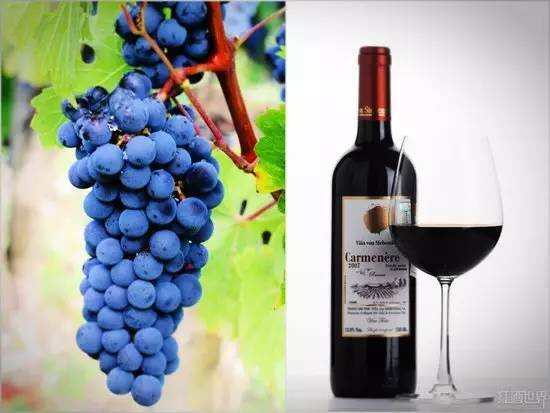 葡萄酒原产那么多，到底哪国酒好喝？