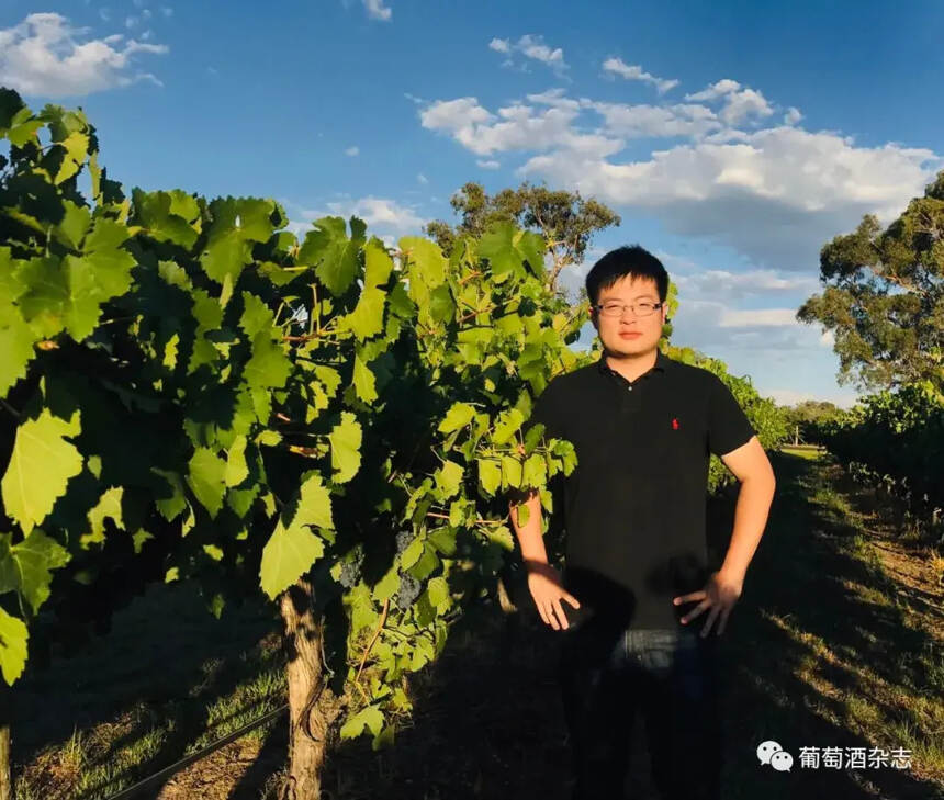 澳大利亚酿酒师眼中的中国马瑟兰，中国葡萄酒的名片会是它吗？