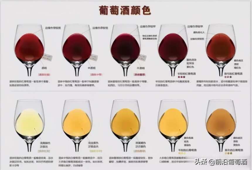观察葡萄酒的黏度、液面和酒泪识别葡萄品种和产地等信息