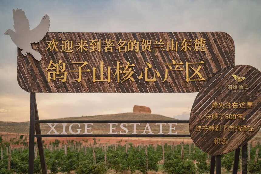 西鸽2021年销售额破2亿，有望成贺兰山东麓产区首家过10亿的酒庄