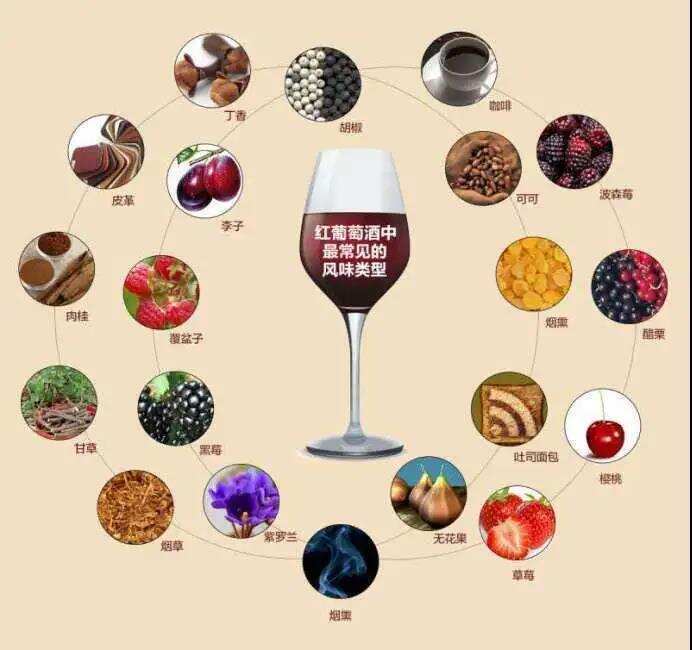 覆盆子味、樱桃味、潮汕卤水味...为什么葡萄酒没有葡萄味儿？