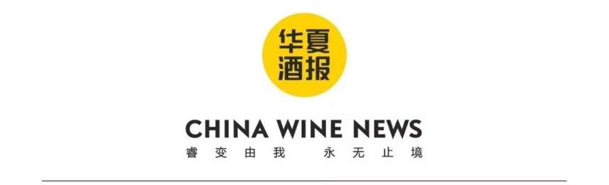 2019中国酒业白皮书，为何吸引无数人的目光？