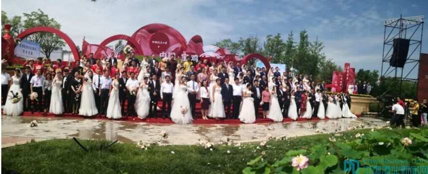 “中国红红西凤——所谓伊人，在水一方 渭河百里花海集体婚礼活动”成功举办