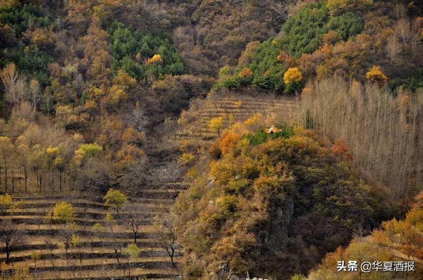 北京房山获“葡萄酒小产区”认证，为国内第四个获此认证的区域