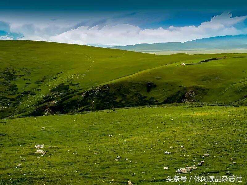 风景如画的那拉提草原，山坡上满是羊群