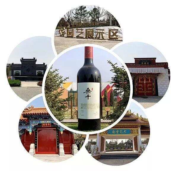 世园会开讲中国葡萄酒文化，长城桑干酒庄成最好“教科书”？
