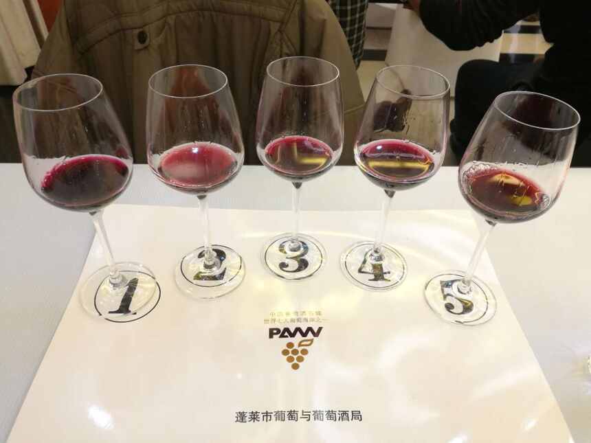 山东葡萄酒（黄酒、果露酒）评委年会暨2018蓬莱新酒节开幕