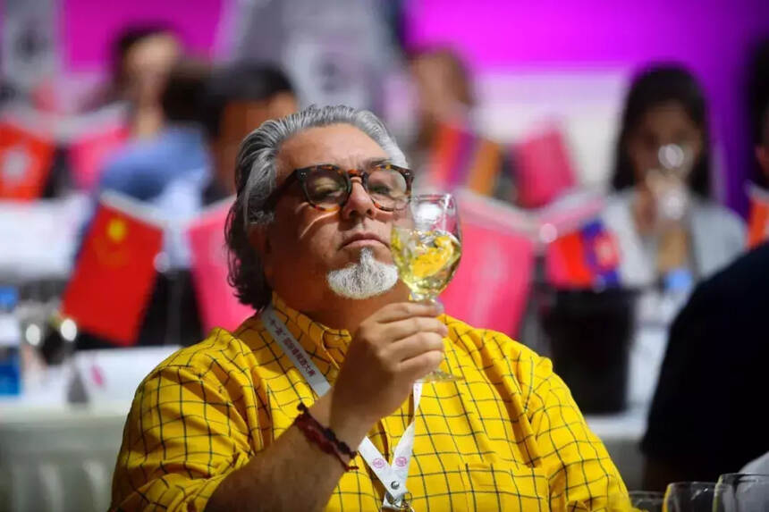 2019“一带一路”国际葡萄酒大赛银川开幕