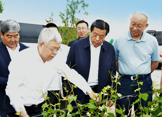 全国政协农业和农村委员会副主任刘永富一行莅临莫高生态酒堡调研
