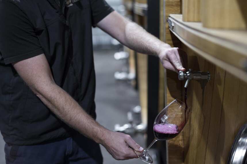 不逊色于奔富的澳洲传奇，“年轻”的萄贝酒庄究竟蕴含着怎样的魅力？