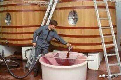你喝的葡萄酒是用葡萄酿造的吗？