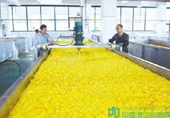 国橙佳酿参加中国酒类香型品类融合发展趋势论坛
