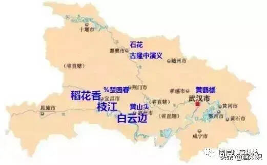 一张地图看遍中国各省名酒，读懂家门口的好酒