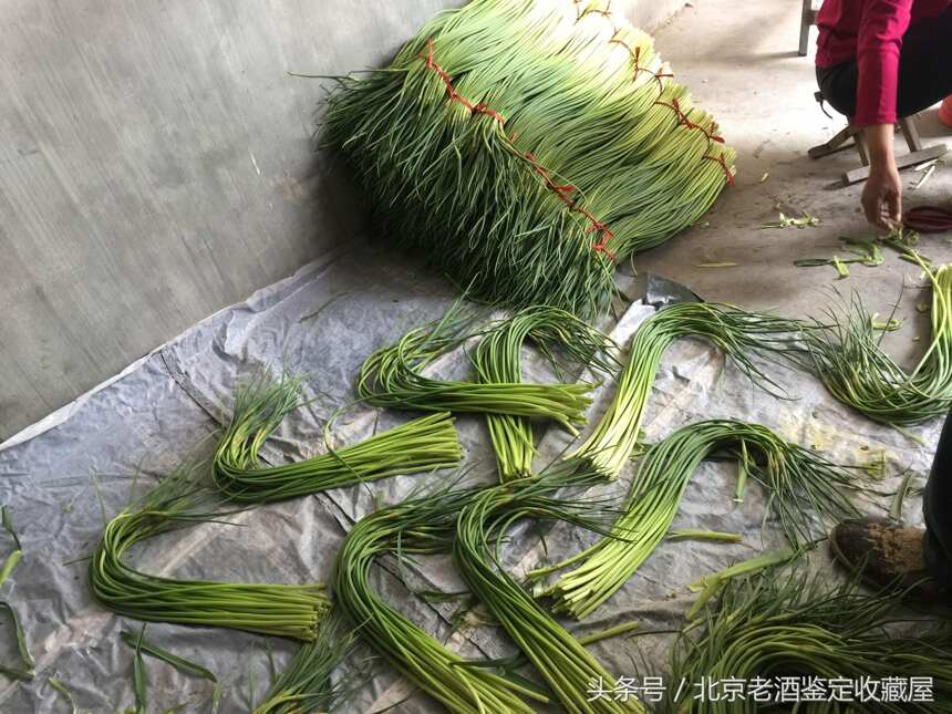 蒜菜丰收的季节超市7元一斤在农村2元一斤