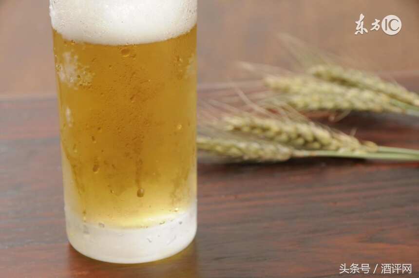 啤酒为什么喝起来有苦味？啤酒中的苦味到底来源于什么？