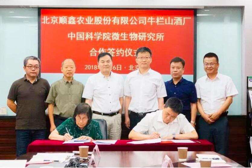牛栏山与中国科学院签约，让我们看看二锅头背后的科技背书