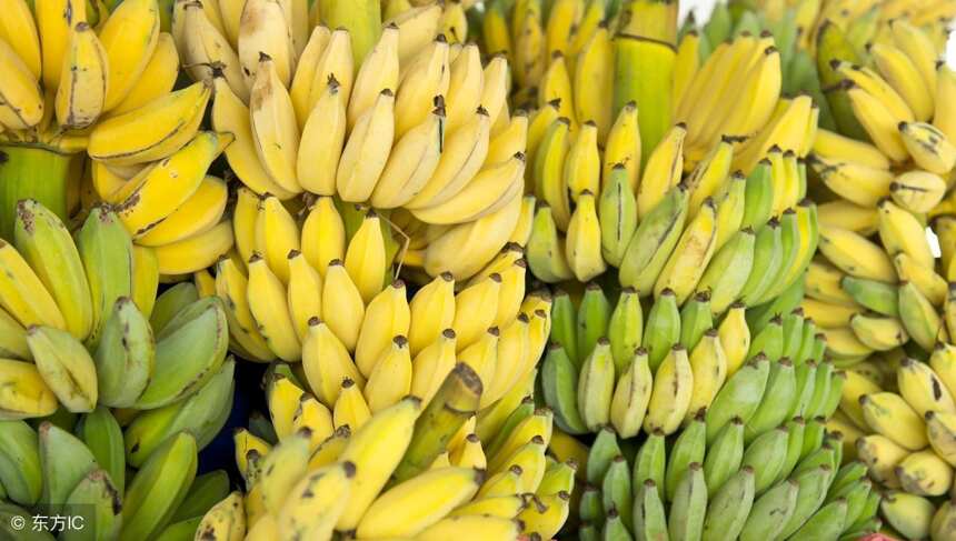 香蕉也能酿“白酒”？是时候看非洲人表演真正的技术了！