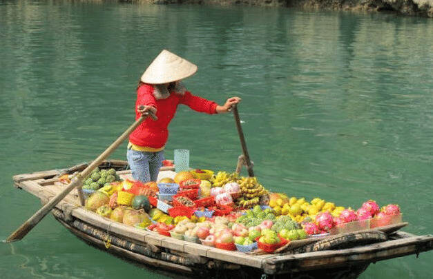 报应来了！越南水果遭多国叫停成批烂在地里，泰国榴莲成“新宠”