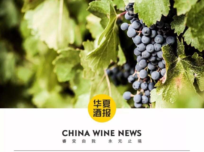 玛纳斯“小产区”的意义，或将提高中国葡萄酒竞争力