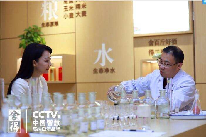 舍得酒业传承和发扬中国白酒文化 打造“文化国酒”百年品牌