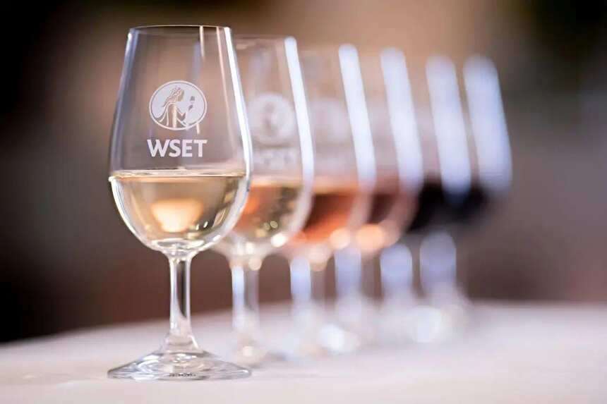 解惑 | WSET葡萄酒认证课程究竟要怎么选？